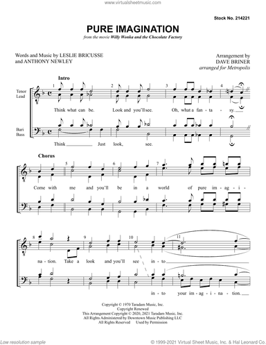 Pure Imagination (arr. Dave Briner)