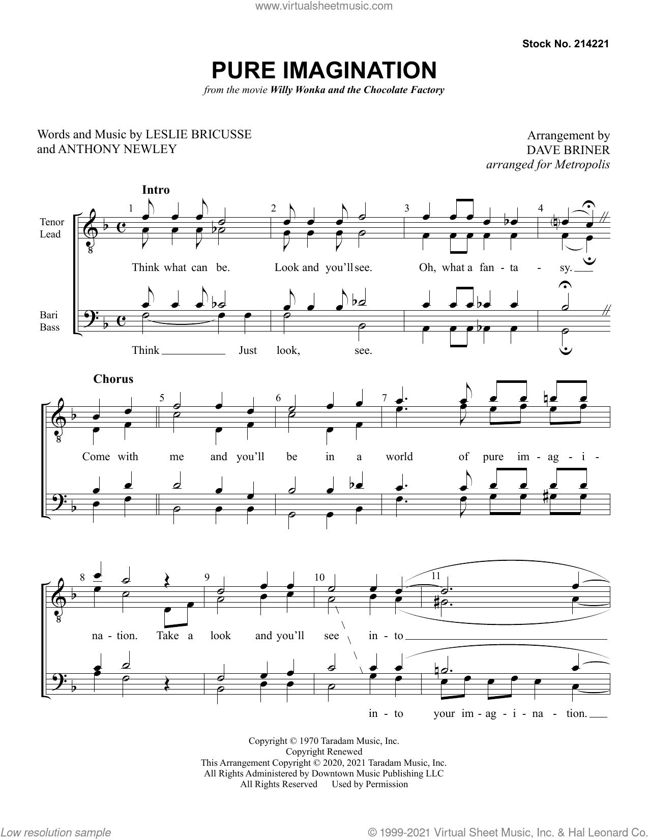 Pure Imagination (arr. Dave Briner)