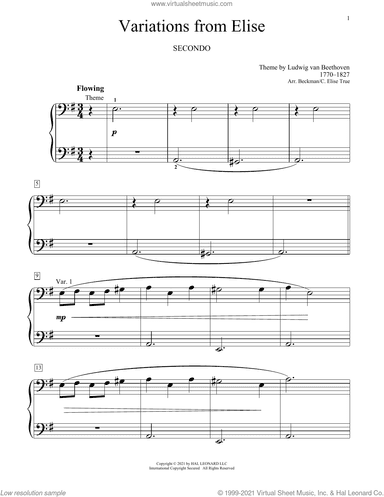 Variations From Elise