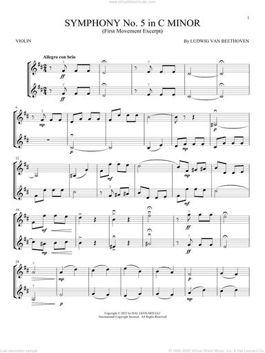 Symphony No. 5 In C Minor, First Movement Excerpt