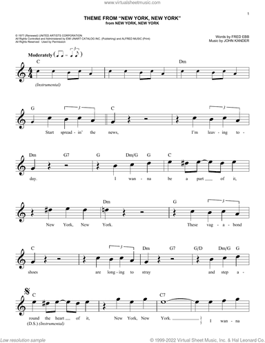 Theme From "New York, New York"