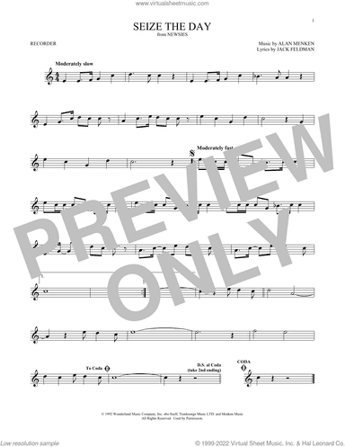 Seize The Day (from Newsies)