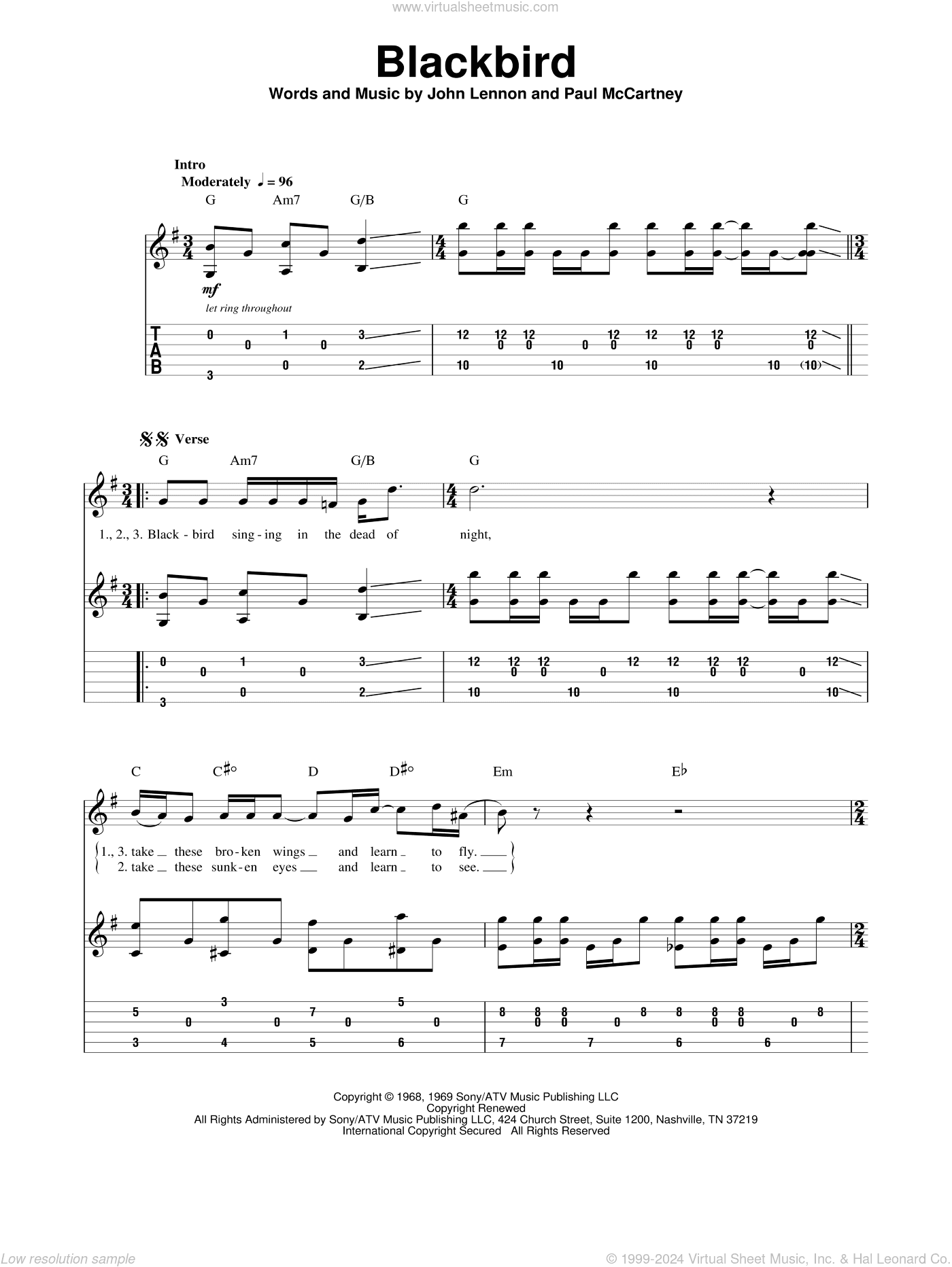 Blackbird