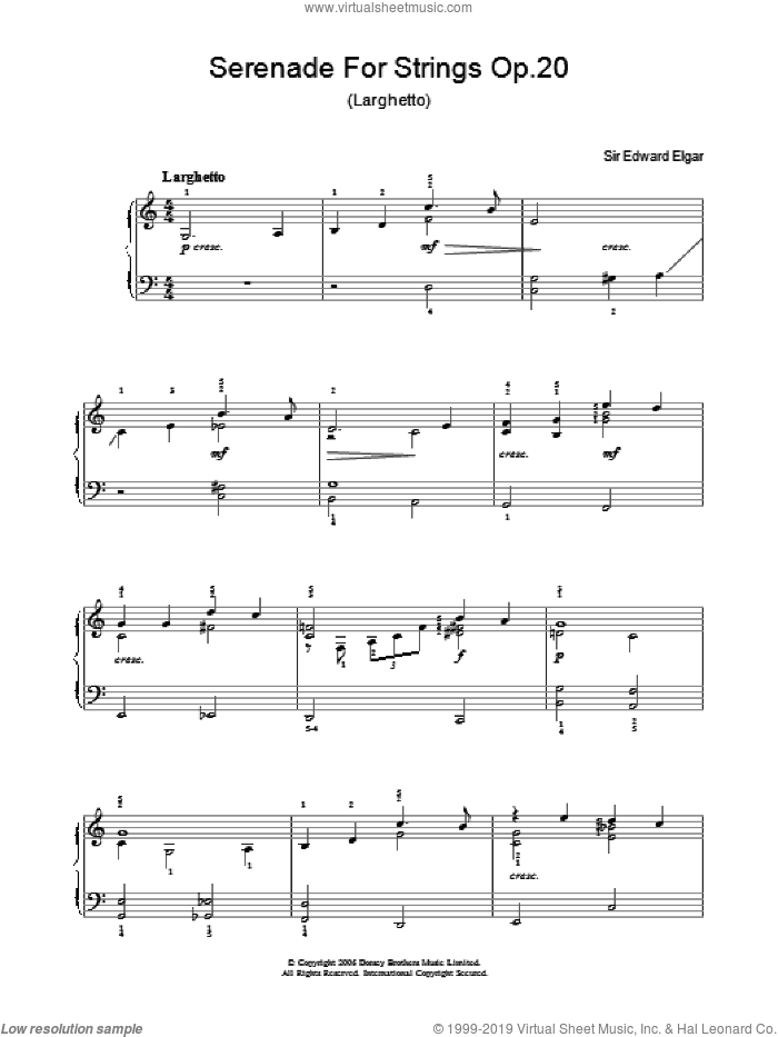 Serenade For Strings Op.20 (Larghetto)