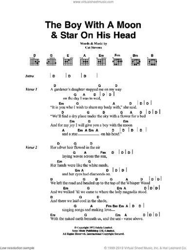 The Boy With The Moon And Star On His Head