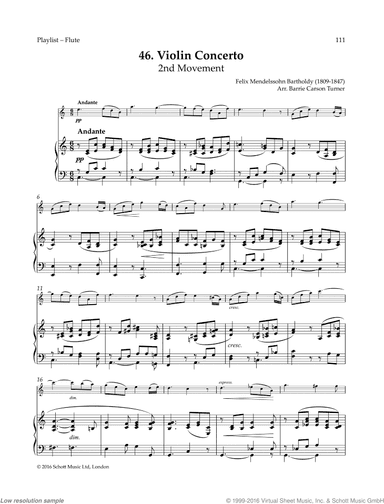 Violin Concerto