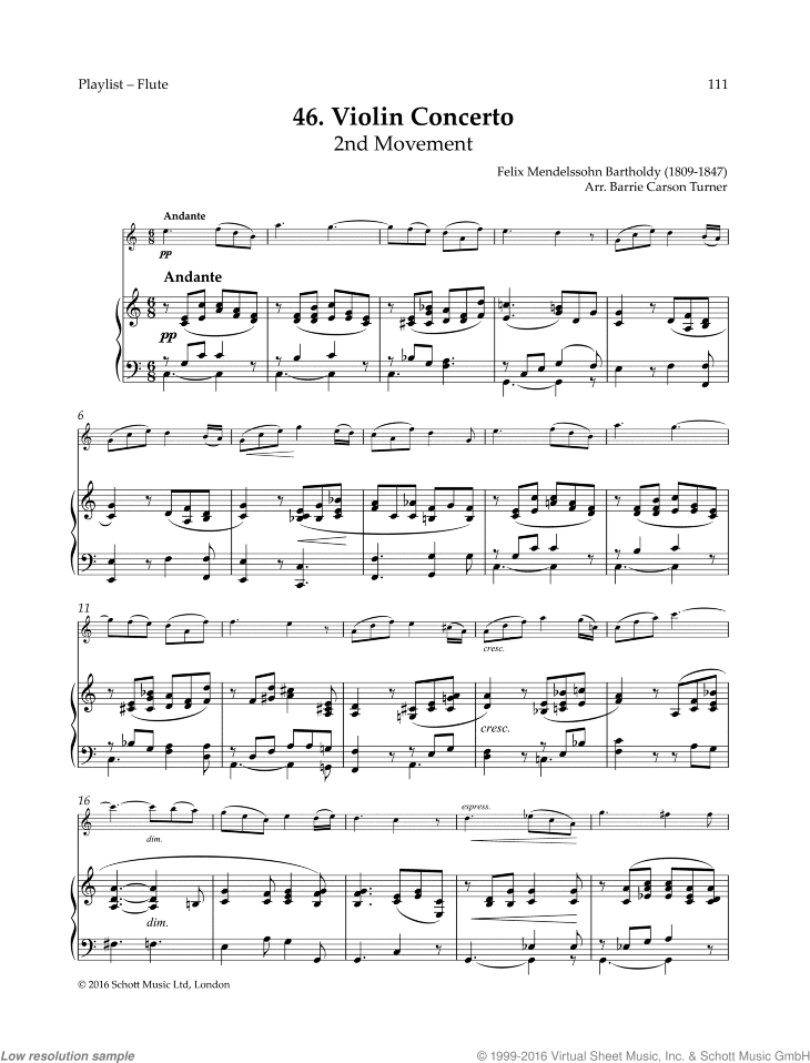 Violin Concerto