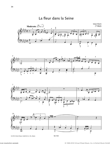 La fleur dans la Seine