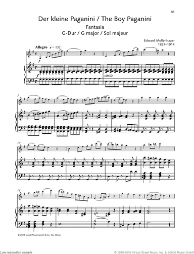 The Boy Paganini, Fantasia