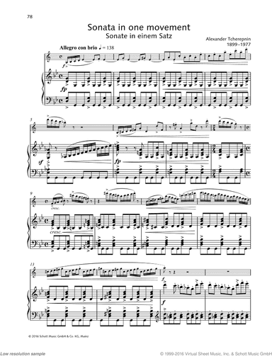 Sonata in one movement