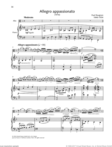 Allegro appassionato