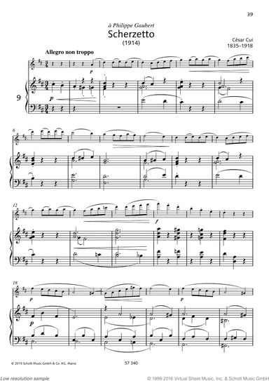 Scherzetto