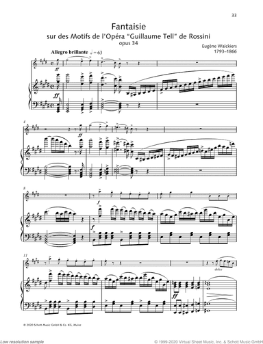 Fantaisie sur de motifs de l'opera Guillaume Tell de Rossini