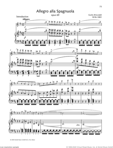 Allegro alla Spagnuola, Op. 69