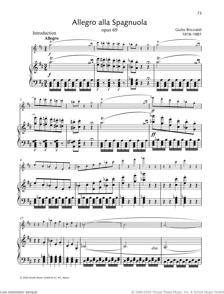 Allegro alla Spagnuola, Op. 69
