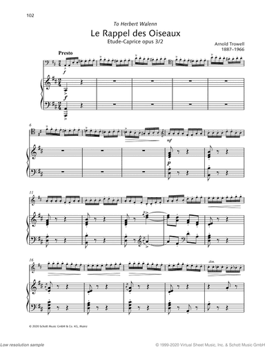 Le Rappel des Oiseaux, Etude-Caprice, Op. 3/2