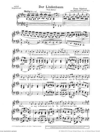 Der Lindenbaum, Op. 89/5 D 911/5 / Heidenroslein in E major, Op. 3/3 D 257