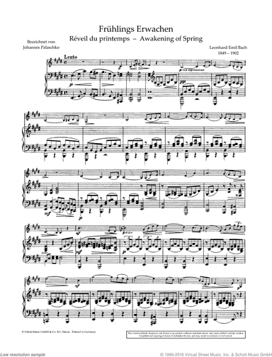 Fruhlings-Erwachen in E major
