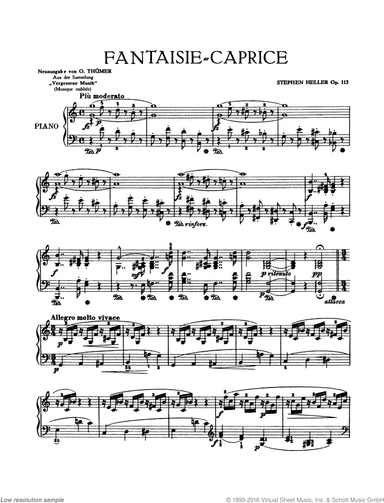Fantasie-Caprice, Op. 113