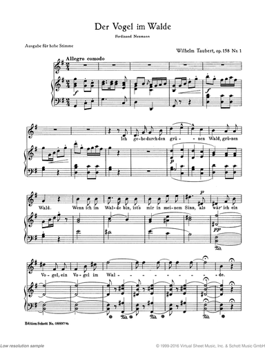 Der Vogel im Walde, Op. 158/1