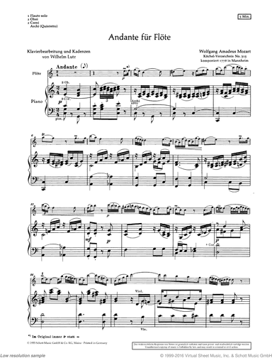 Andante for Flute, K. 315