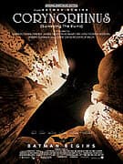 Corynorhinus (Surveying the Ruins) (from Batman Begins)