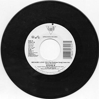 Because I Love You (The Postman Song)