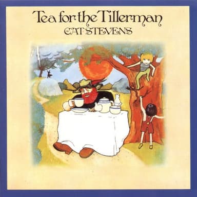 Tea For The Tillerman