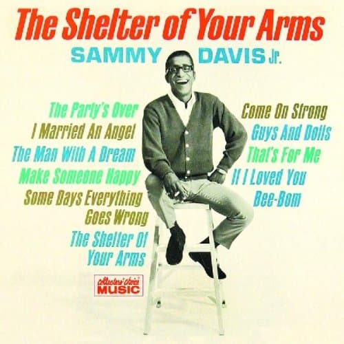 The Shelter Of Your Arms