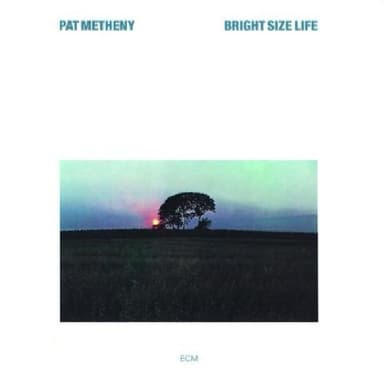 Bright Size Life