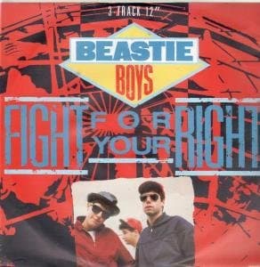 Fight For Your Right (To Party)