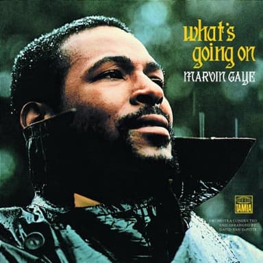 Inner City Blues (Make Me Wanna Holler)