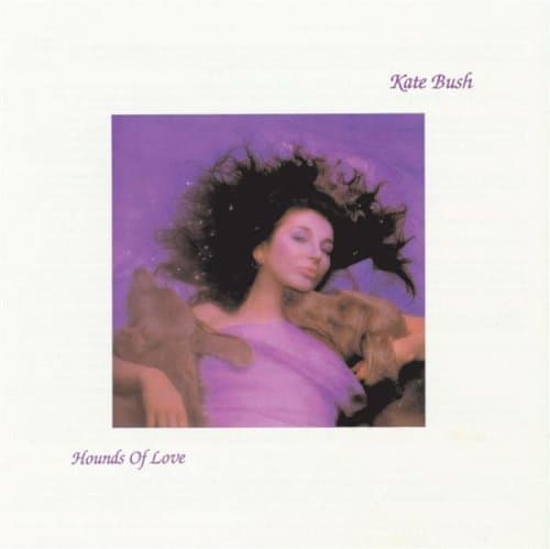 Hounds Of Love