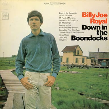 Down In The Boondocks