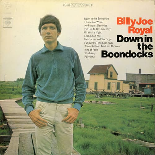 Down In The Boondocks