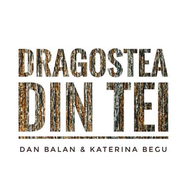 Dragostea Din Tei