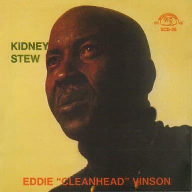Kidney Stew Blues
