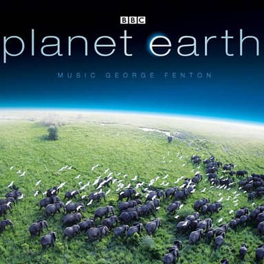 Planet Earth: The Disappearing Sea Ice
