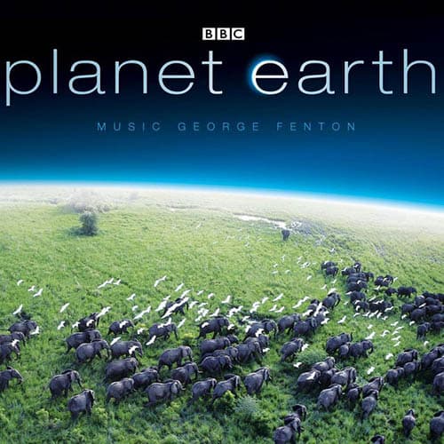 Planet Earth: Fledglings