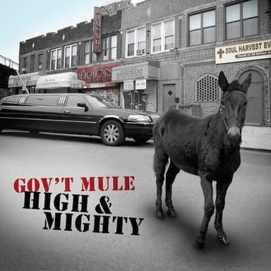 Mr. High & Mighty