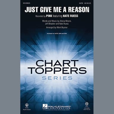 Just Give Me a Reason - Synthesizer