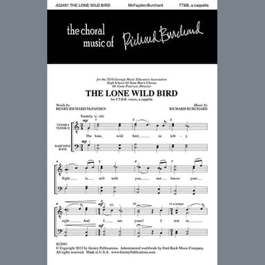 The Lone Wild Bird