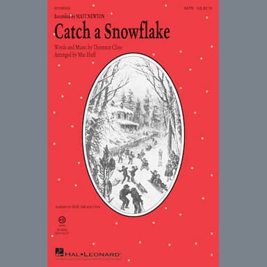 Catch A Snowflake