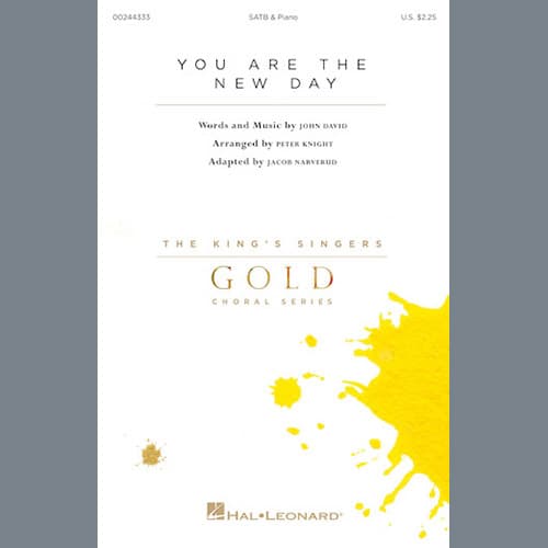 You Are The New Day (adapt. Jacob Narverud)