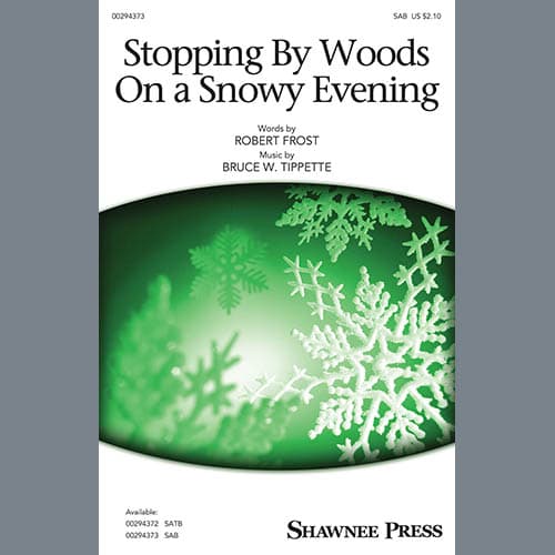 Stopping By Woods On A Snowy Evening