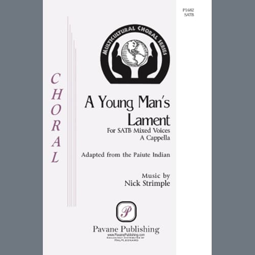 A Young Man's Lament