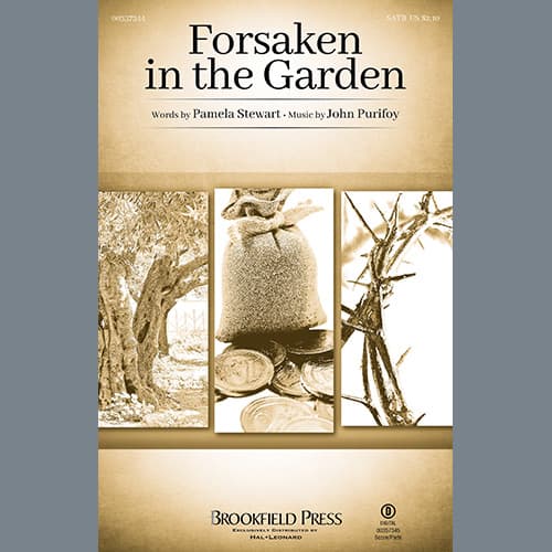 Forsaken in the Garden - Cello
