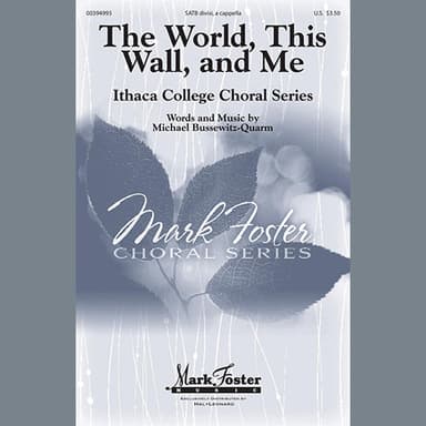 The World, This Wall, And Me