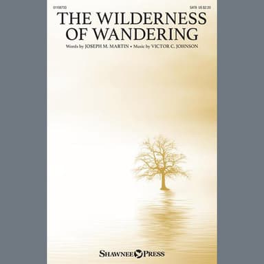 The Wilderness Of Wandering