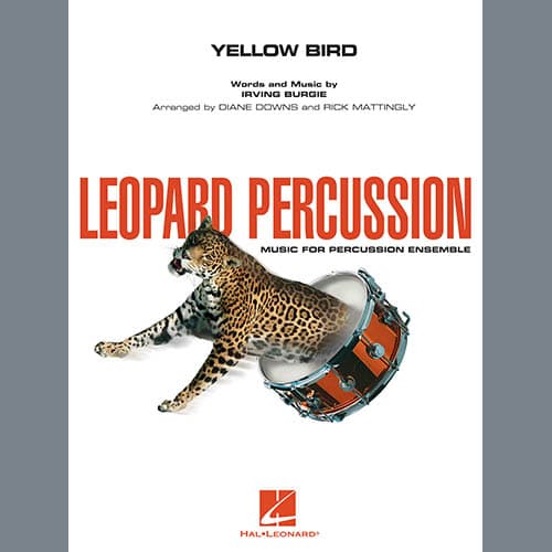 Yellow Bird - Vibes